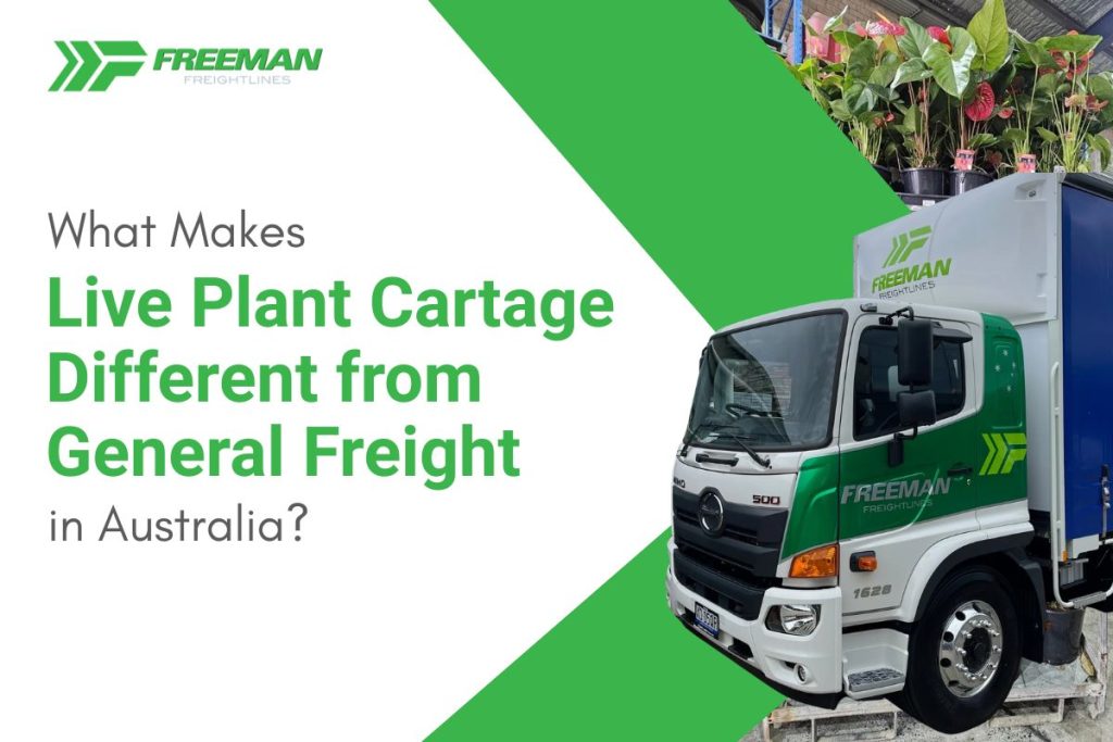 Live plant cartage service across Australia