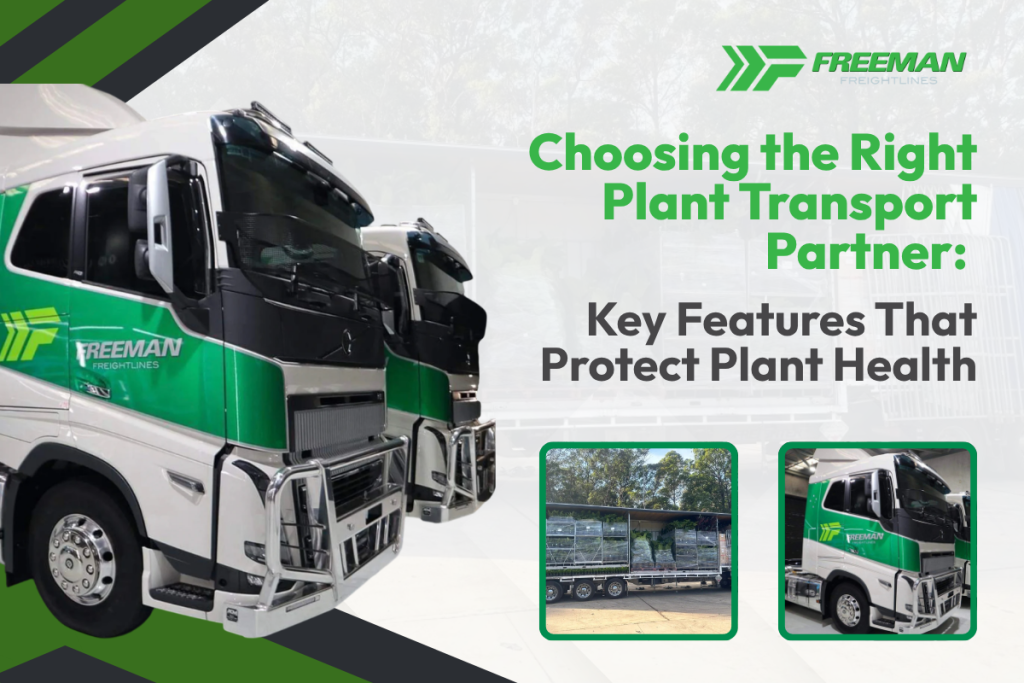 Protect your plant health while in transport - Choose the right plant transport partner