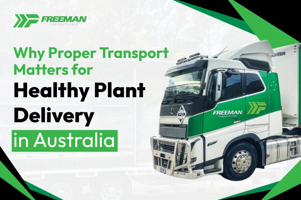 Why Proper Transport Matters for Healthy Plant Delivery in Australia